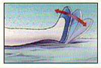 01-ankle bend